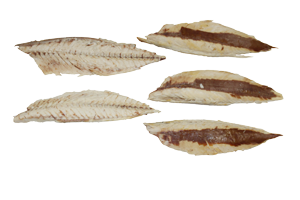 mackerel-fillet.png