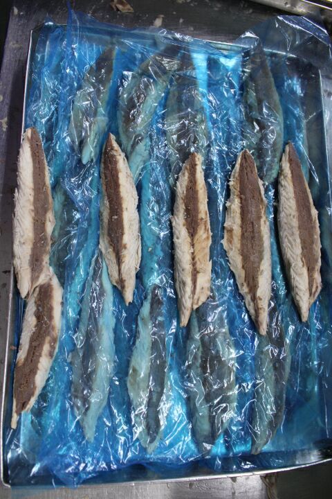 mackerel fillet 1.jpg